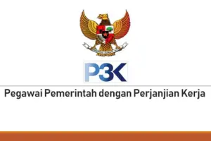 Puluhan Instansi Sudah Umumkan Hasil PPPK Tahap 2 Hingga 24 Juni 2025