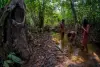 First Encounter with the Anak Dalam Tribe in Jambi in 1983