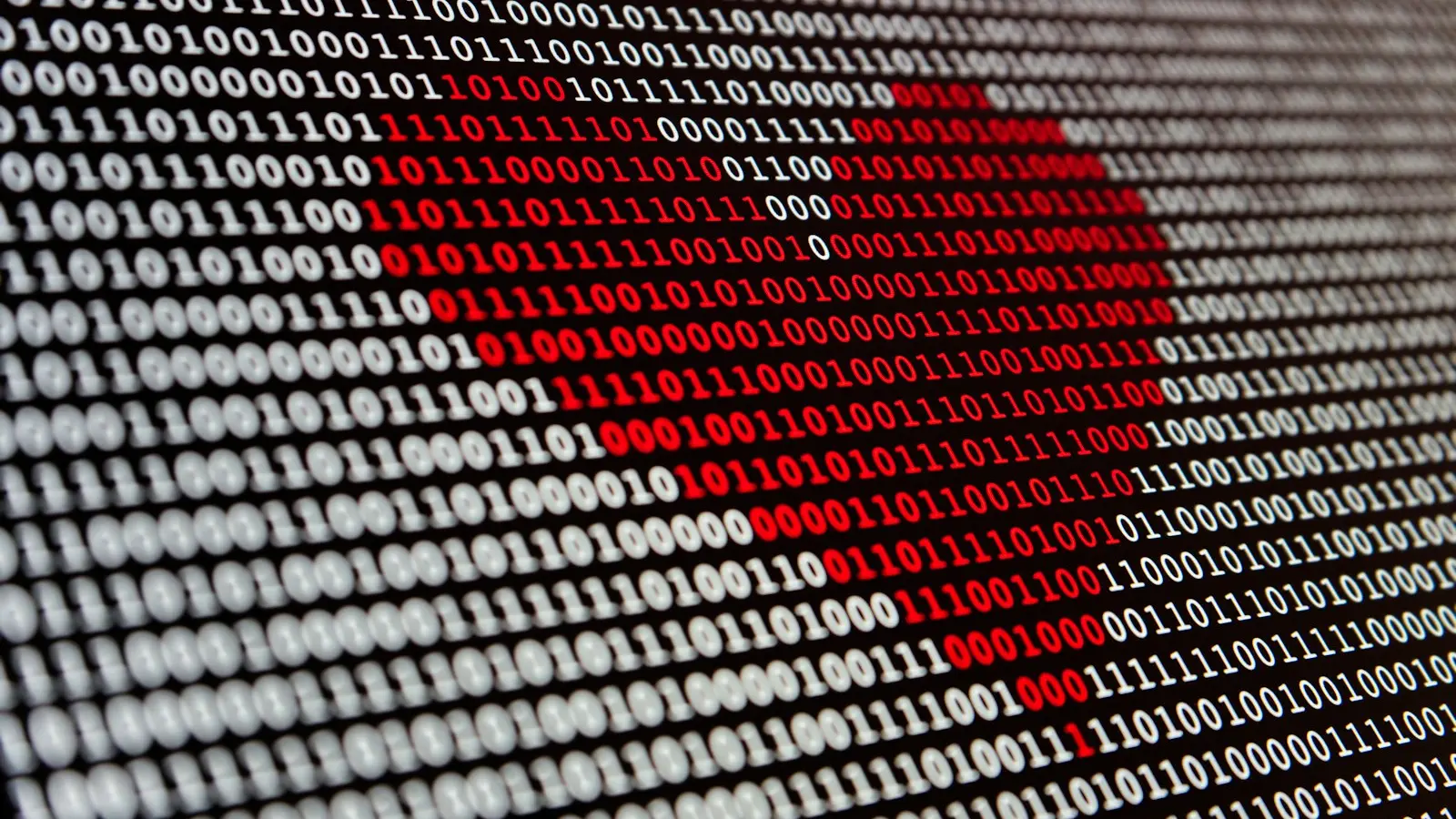 A heart is shown on a computer screen